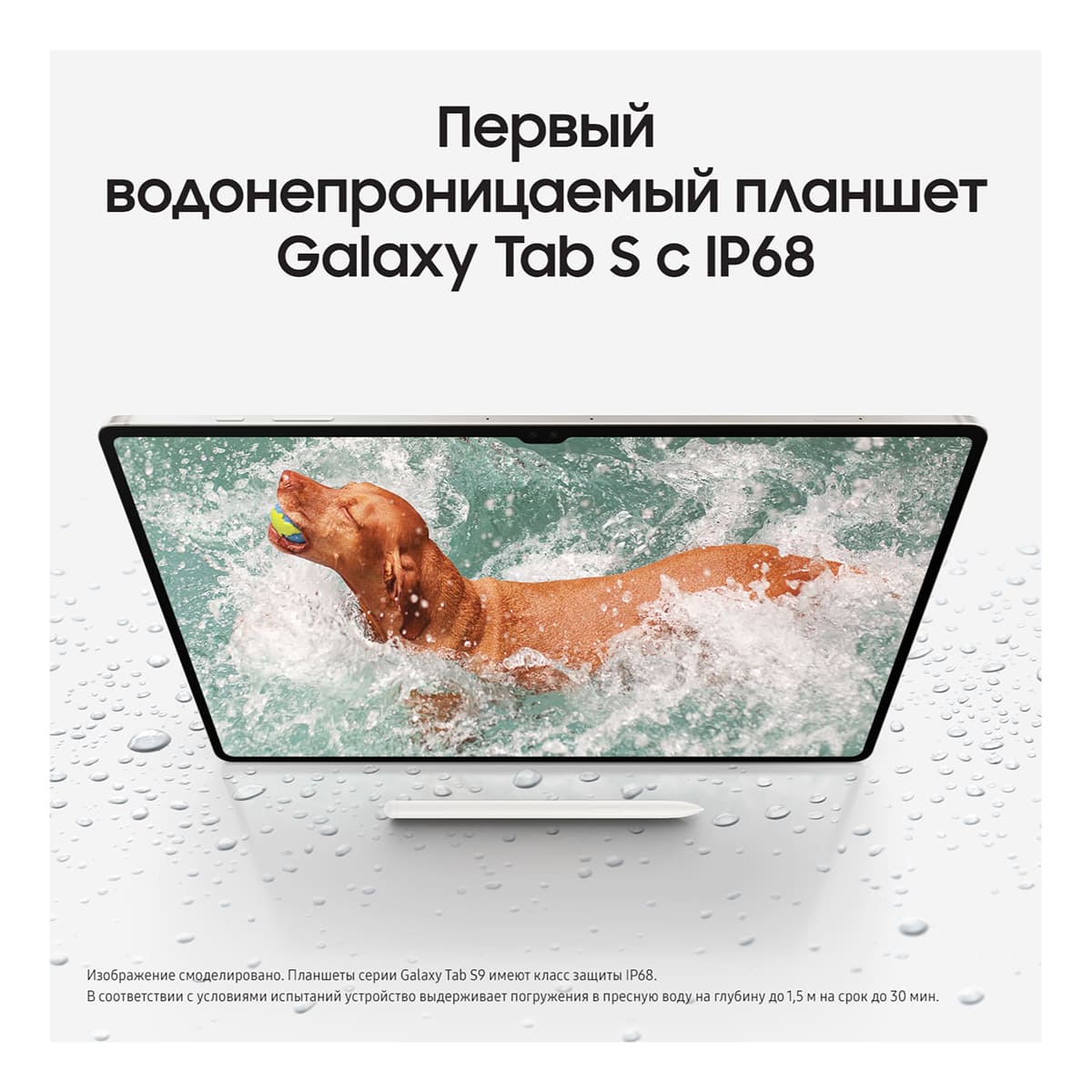 Samsung Galaxy Tab S9 Ultra 14,6" (2024) 5G+Wi-Fi 12/256Gb Graphite, графит