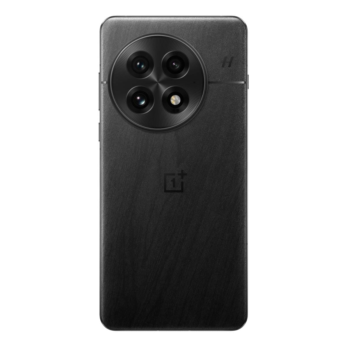 OnePlus 13 (2024) 24/1Tb Black, черный
